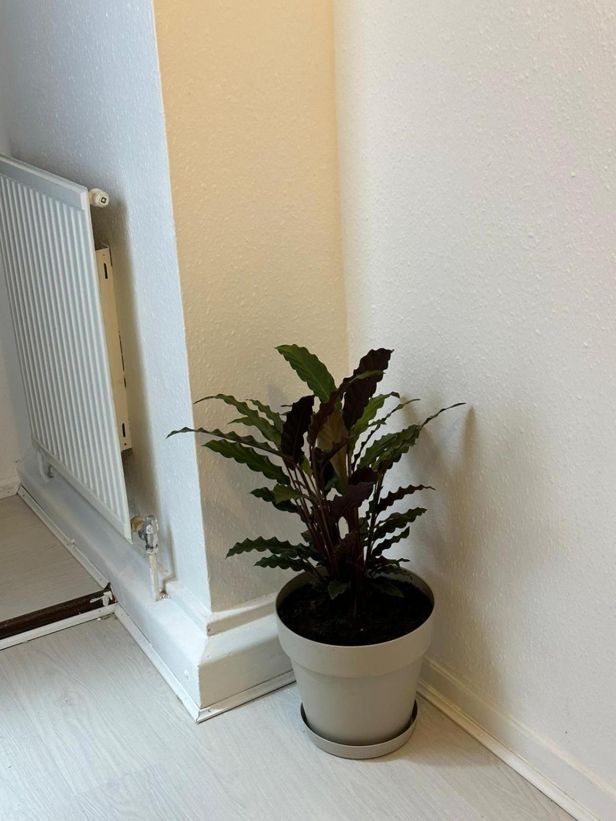 3 Bedroom King Cross Station City Centre London Ngoại thất bức ảnh